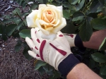 Short Rose Gloves