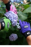 Blooms: Garden Gloves